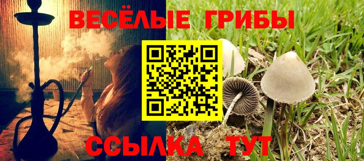 Галлюциногенные грибы MAGIC MUSHROOMS  Вход с VPN  Псилоцибиновые грибы GOLDEN TEACHER  как найти наркотики  Энгельс 